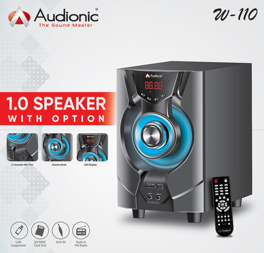 W-110 1.0 multimedia speaker