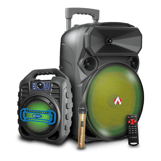MEHFIL MH-2 PLUS SPEAKER